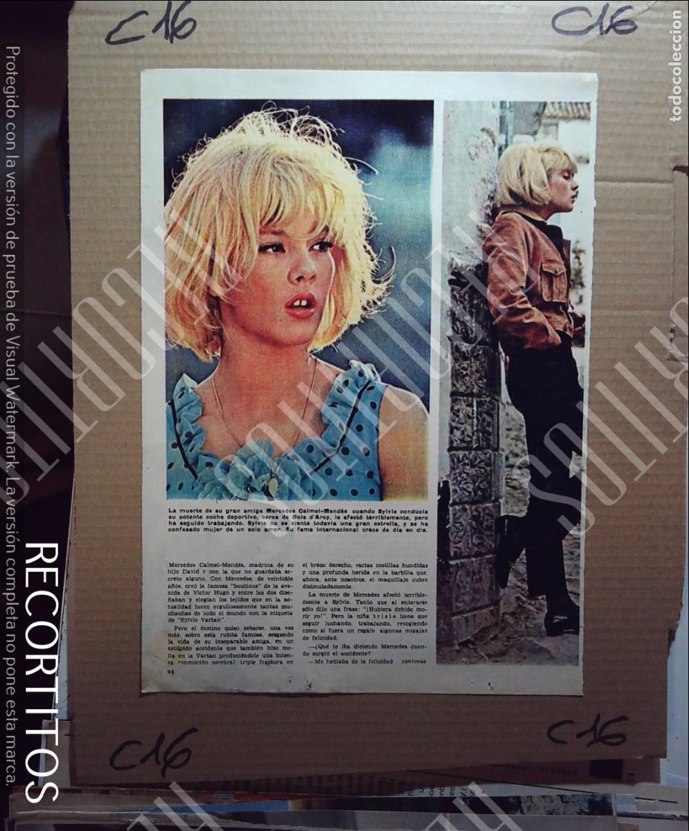 M&uacute;sica de colecci&oacute;n: sylvie vartan johnny hallyday