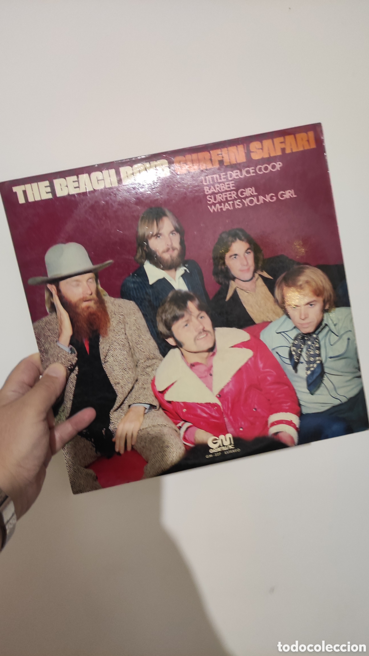 Musiksammlung: The beach boys , surfin ,safari.