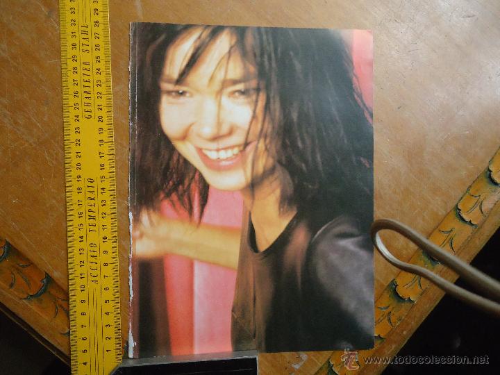 Fotos de Cantores: cantante Gudmundsd&oacute;ttir bjork - poster
