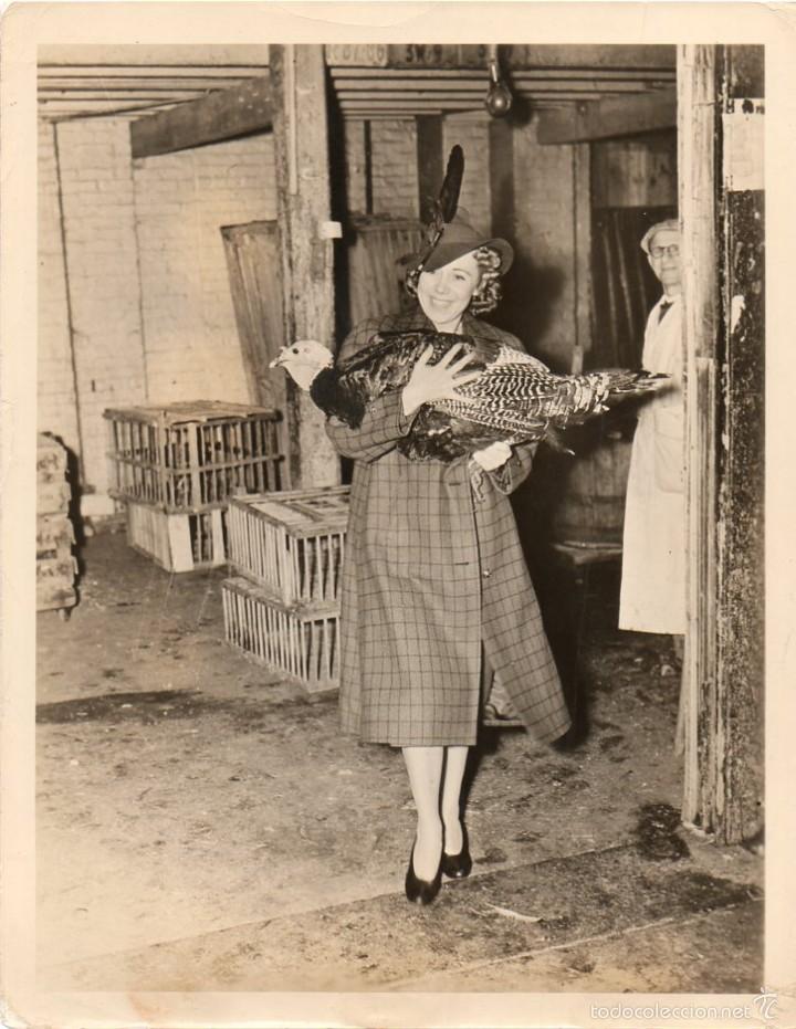Fotos von Musikern: Fotograf&iacute;a Original de Lucille Manners Pictorial Press Photos