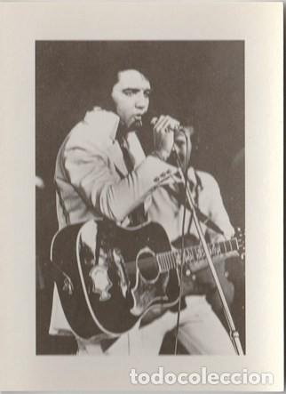 Fotos von Musikern: POSTAL / FOTO - ELVIS PRESLEY - CANTANTE - SIN DATOS - NO ESCRITA NI CIRCULADA - NUEVA - 11 x 15 CM.
