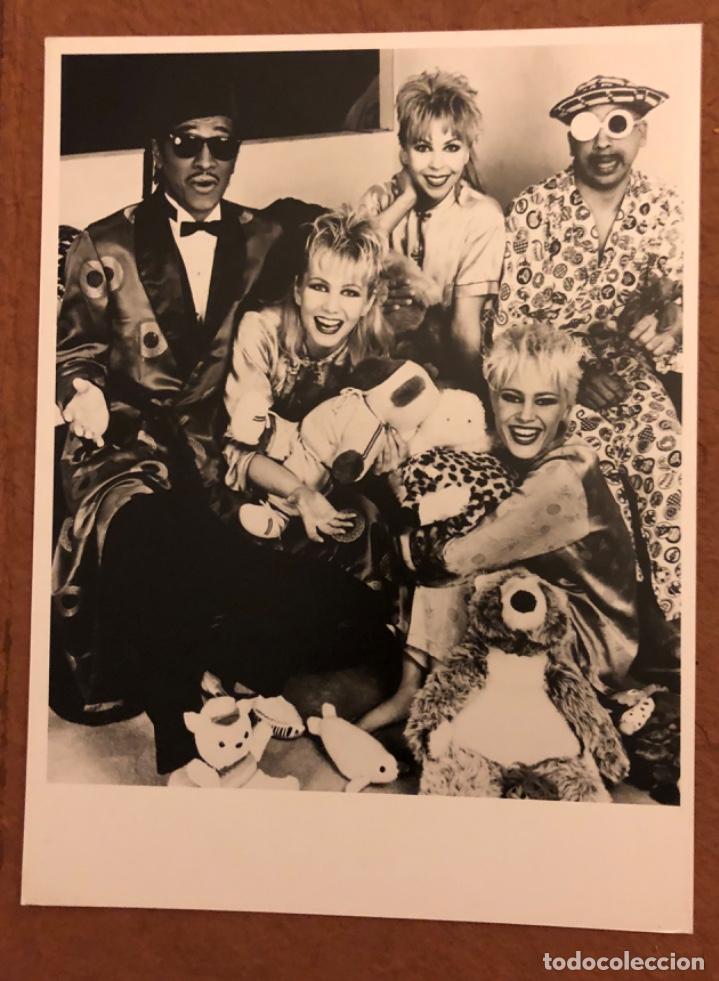 Photos de Chanteurs et Chanteuses: KID CREOLE & THE COCONUTS. FOTOGRAF&Iacute;A PROMOCIONAL EN B/N, A&Ntilde;OS 80. 18 x 24 cms.