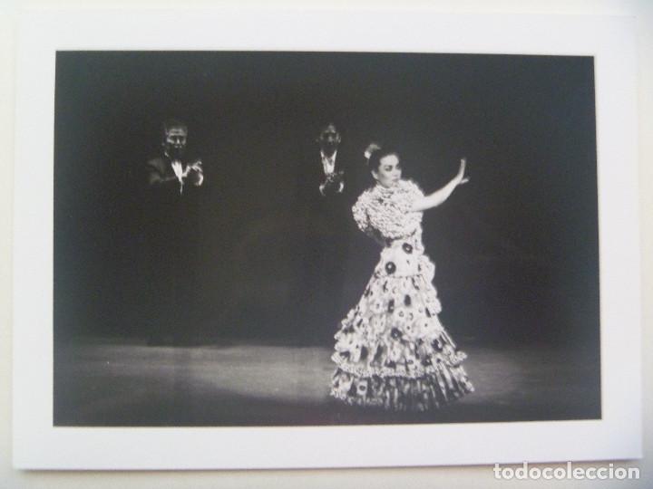 Photos of Singers: FOTO DE BAILAORA DE FLAMENCO JAPONESA , PALMEROS TAMBIEN JAPONESES