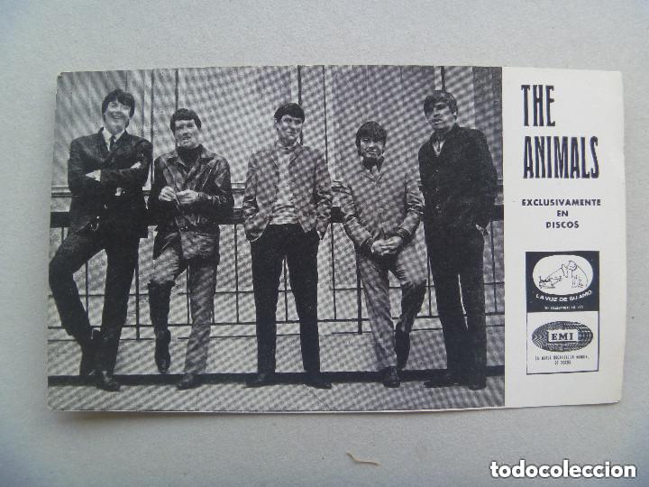 Photos of Singers: TARJETON DEL GRUPO THE ANIMALS , 1965 . DE DISCOS LA VOZ DE SU AMO.