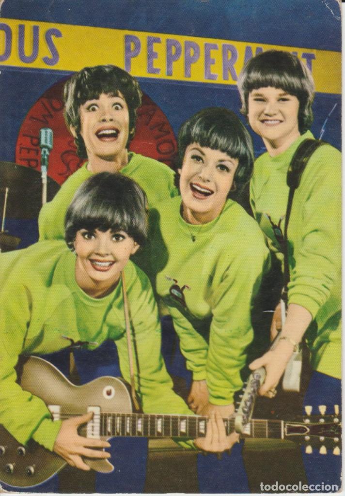 Fotos de Cantantes: POSTAL. GRUPO MUSICAL THE PETTICOAT JUNCTION GIRLS .. NO CIRCULADA