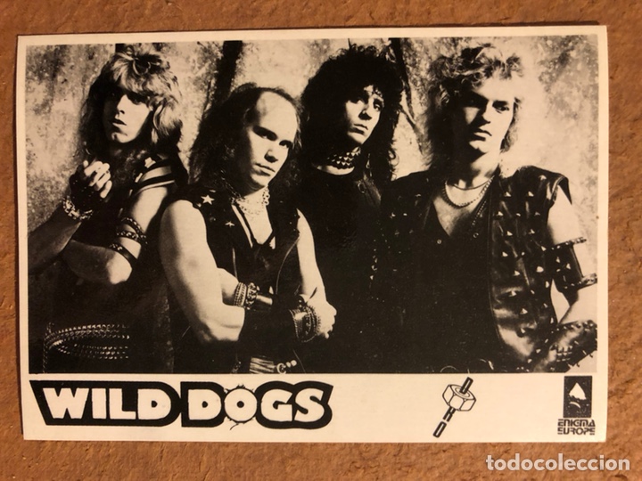 Photos de Chanteurs et Chanteuses: WILD DOGS. FOTOGRAF&Iacute;A PROMOCIONAL PRODUCCIONES DRO - ENIGMA RECORDS (A&Ntilde;OS 80).