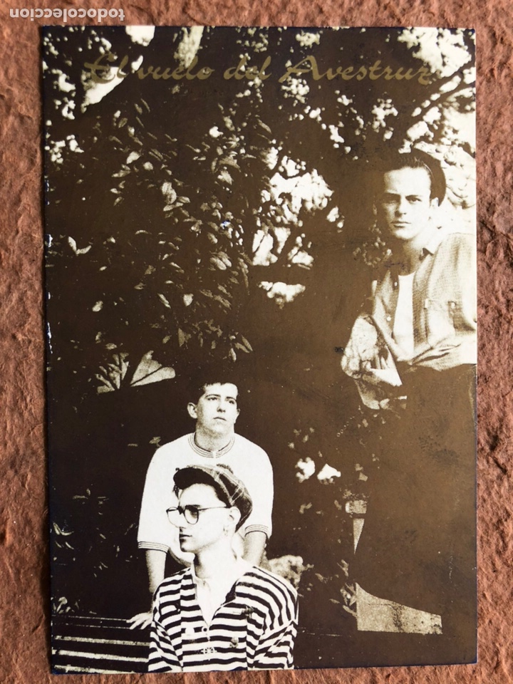 Fotos de cantantes: EL VUELO DEL AVESTRUZ. POSTAL CIRCULADA PROMOCIONAL CONCIERTO EN SALA ART&Iacute;CULO 26.- (1988).