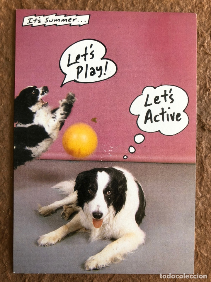 Fotos von Musikern: LET&rsquo;S ACTIVE, WOOF (1983). TARJETA PROMOCIONAL DEL &Aacute;LBUM DRO- IRS.