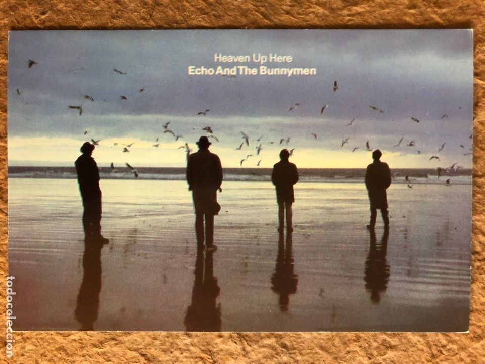 Photos of Singers: ECHO & THE BUNNYMEN &ldquo;HEAVEN UP HERE&rdquo; (1981). POSTAL SIN CIRCULAR.