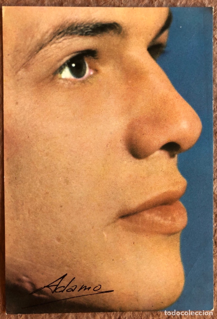 Photos de Chanteurs et Chanteuses: ADAMO. POSTAL SIN CIRCULAR OSCARCOLOR N&deg; 703 (1967).