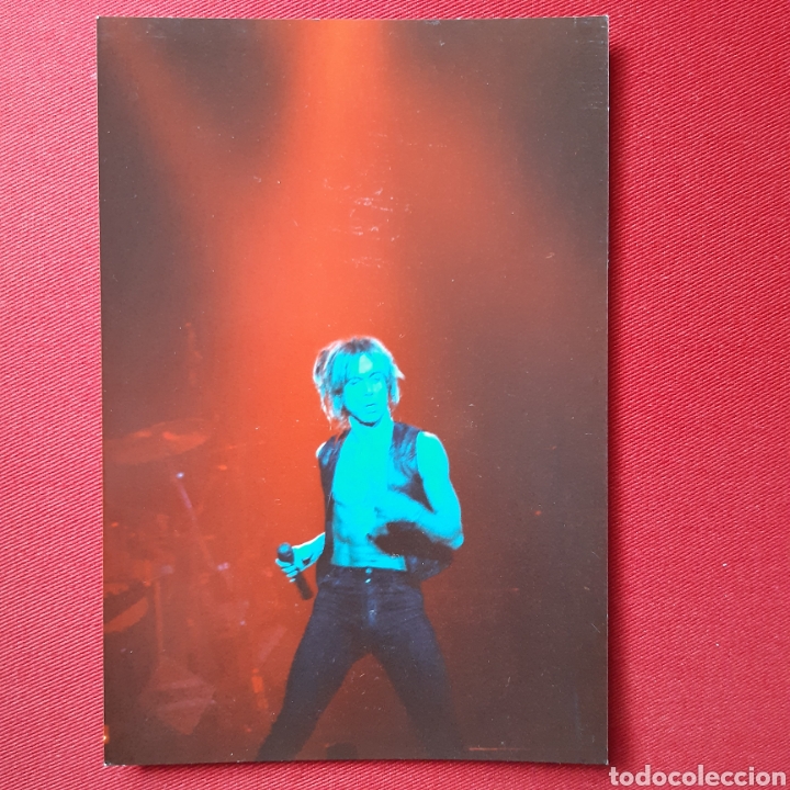 Fotos de Cantantes: Fotograf&iacute;a Iggy Pop
