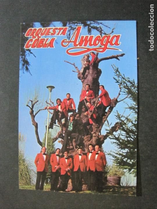 Fotos de Cantantes: ORQUESTA COBLA AMOGA-PUBLICIDAD ANTIGUA DE MUSICA-VER FOTOS-(71.720)