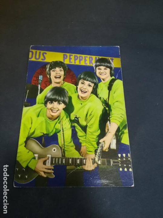 Fotos de cantantes: TARJETA DE PRESENTACION. IMAGEN DEL GRUPO MUSICAL THE PETTICOAT JUNCTION GIRLS