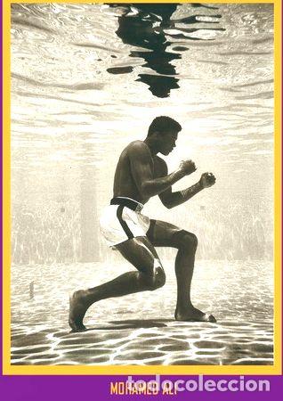 Fotos de Cantantes: posters led zeppelin 90x60