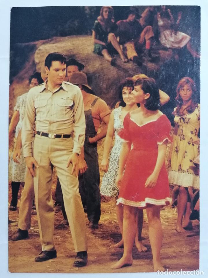 Fotos de cantantes: POSTAL ELVIS PRESLEY IN KISSIN COUSINS, MGM 1964