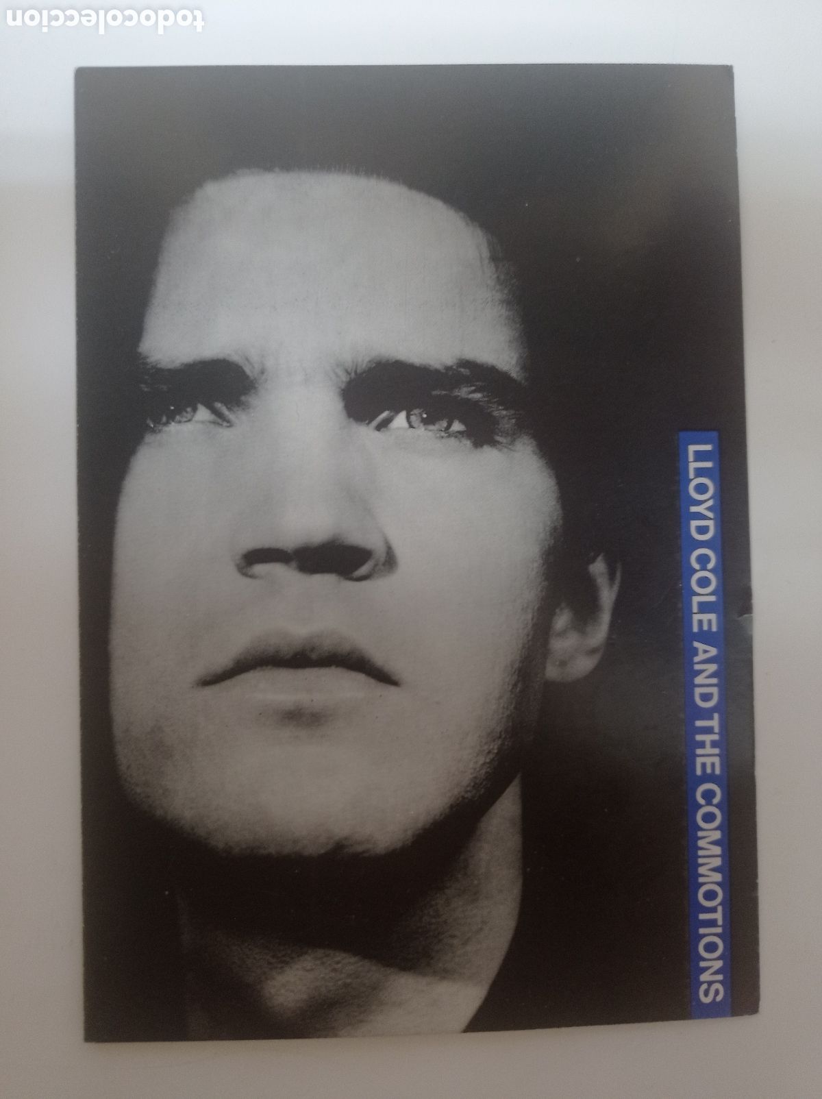 Fotos de Cantantes: LLOYD COLE & THE COMMOTIONS. ZELESTE 1988