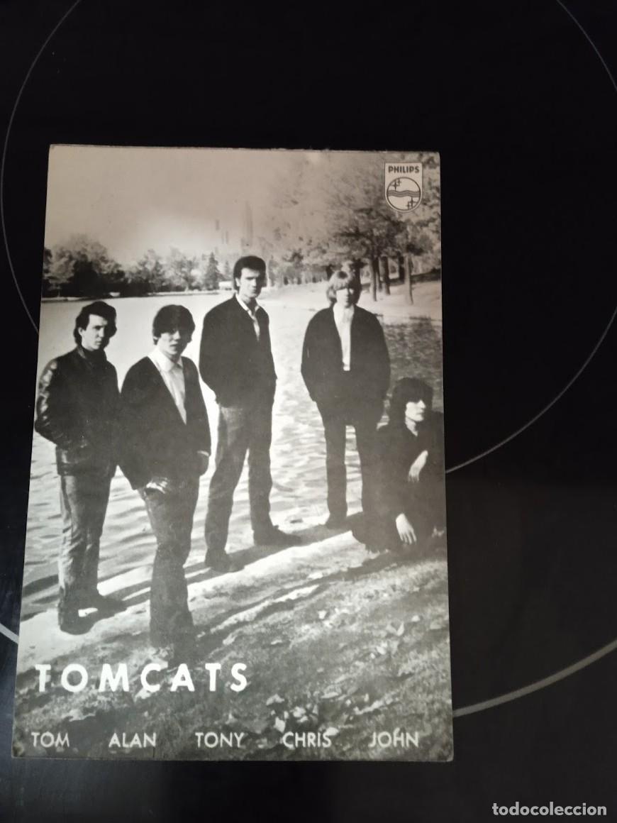 Photos of Singers: POSTAL PROMOCIONAL TOMCATS PHILIPS 1966