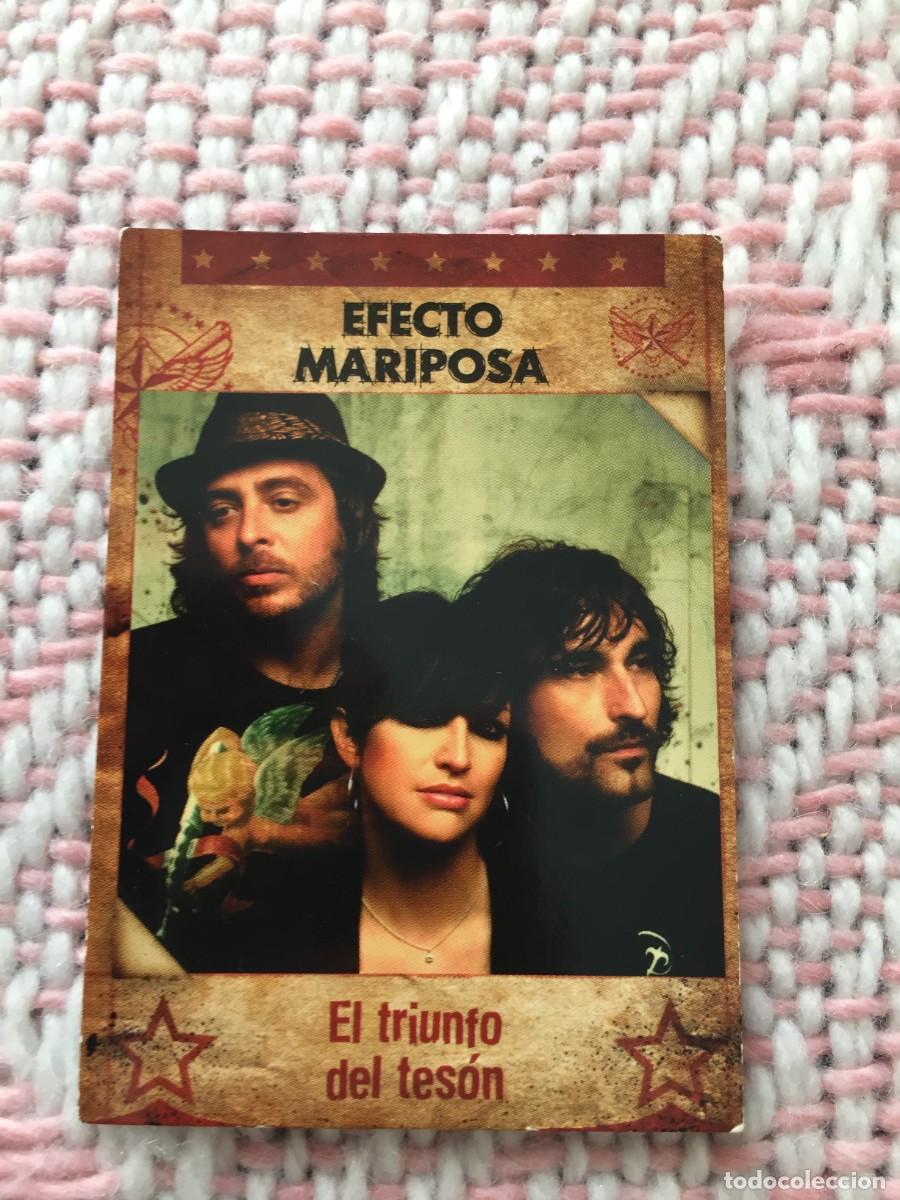 Photos de Chanteurs et Chanteuses: CROMO DE M&Uacute;SICA, MUSICARDS DE PANINI - EFECTO MARIPOSA: EL TRIUNFO DEL TES&Oacute;N (N&ordm; 131)