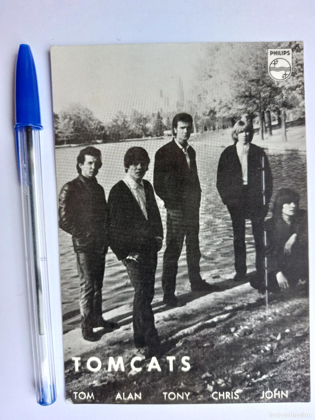 Photos of Singers: TOMCATS - POSTAL DISCOGR&Aacute;FICA PHILIPS * VER FOTO TRASERA CON BIO Y PROMO DE 2 EP's * ED. ESPA&Ntilde;OLA