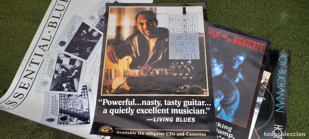 Fotos von Musikern: ALLIGATOR, GREAT POSTER, maurice john vaugh PROMO BLUES MERCHANDISE ALLIGATOR, NUEVO !!