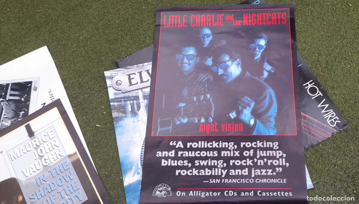 Fotos von Musikern: ALLIGATOR, GREAT POSTER,little charlie and the nightcats PROMO BLUES MERCHANDISE ALLIGATOR, NUEVO !!