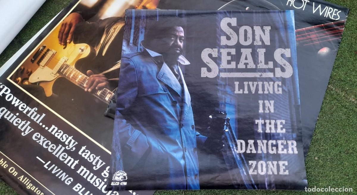 Fotos von Musikern: ALLIGATOR, GREAT POSTER, SON SEALS, PROMO BLUES MERCHANDISE ALLIGATOR, NUEVO !!