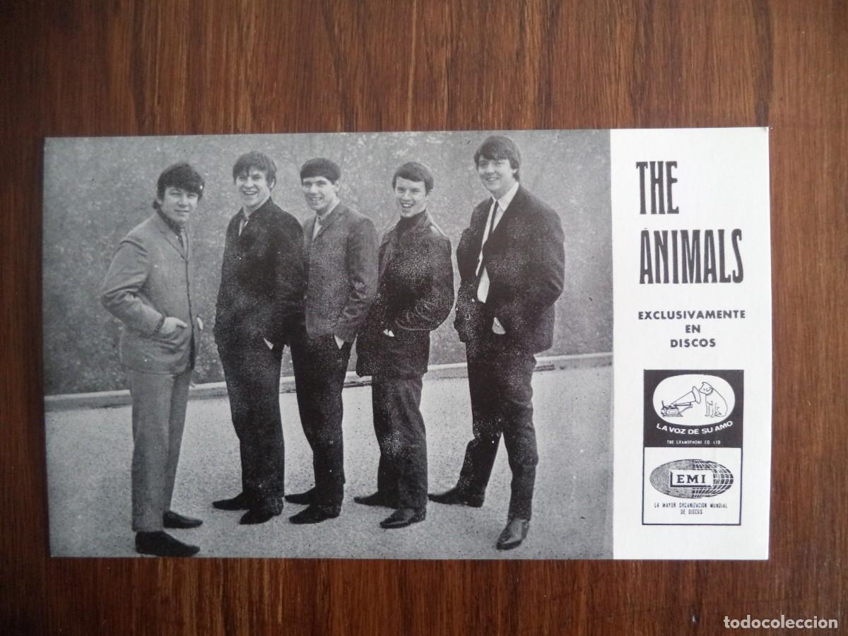 Fotos von Musikern: Postal grupo musical The Animals