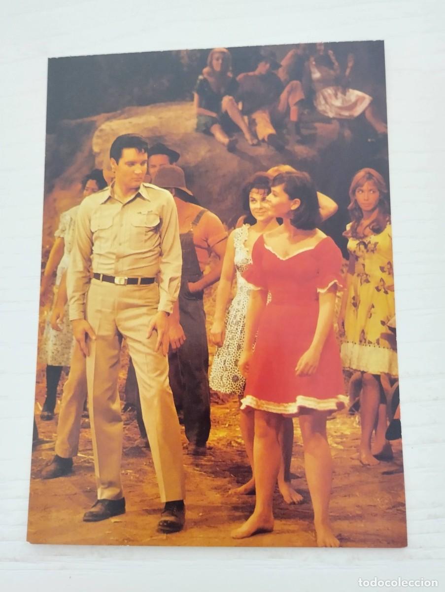 Fotos von Musikern: TARJETA POSTAL ELVIS PRESLEY EN KISSIN' COUSINS (MGM 1964) SIN CIRCULAR - PRINTED IN ENGLAND