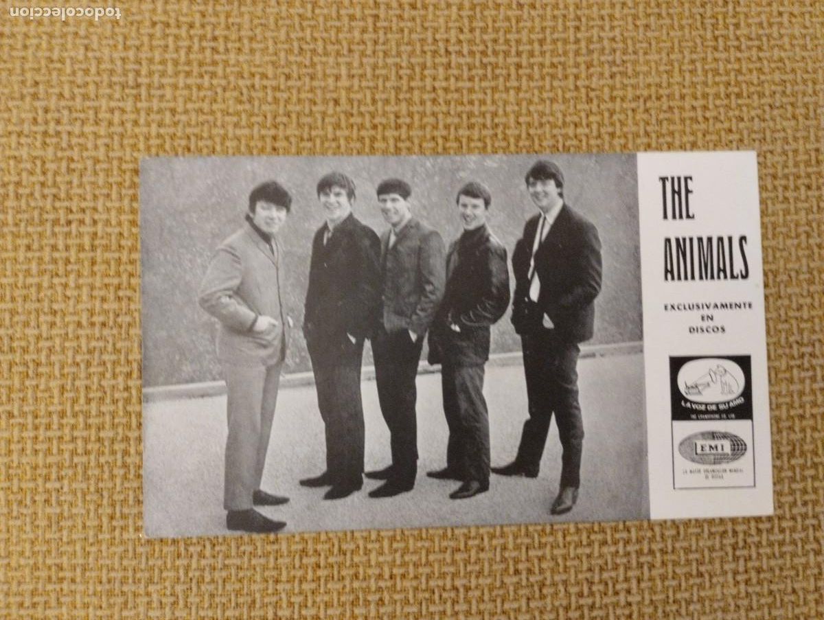 Fotos von Musikern: Postal The Animals antigua