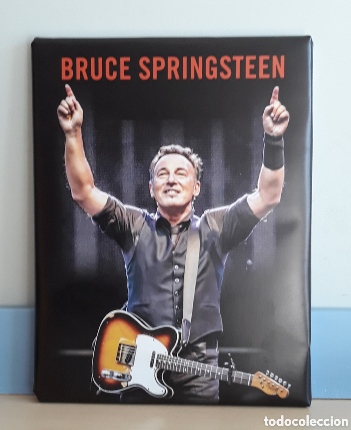 Photos of Singers: Cuadro BRUCE SPRINGSTEEN