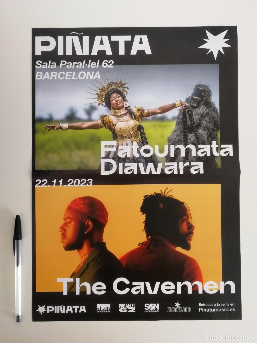 Photos de Chanteurs et Chanteuses: CARTEL ORIGINAL -A3- Fatoumata Diawara - The Cavemen - MUSICA - AFRICA