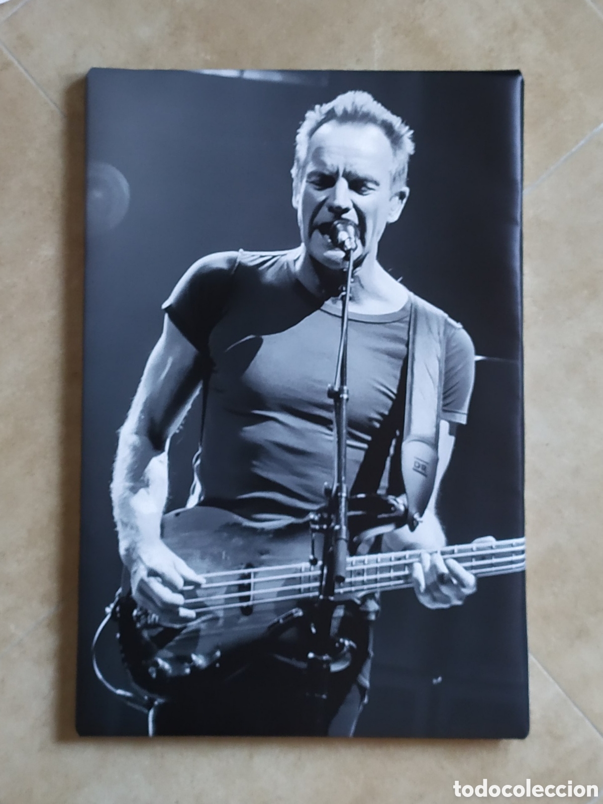 Photos de Chanteurs et Chanteuses: Cuadro cartel musical STING