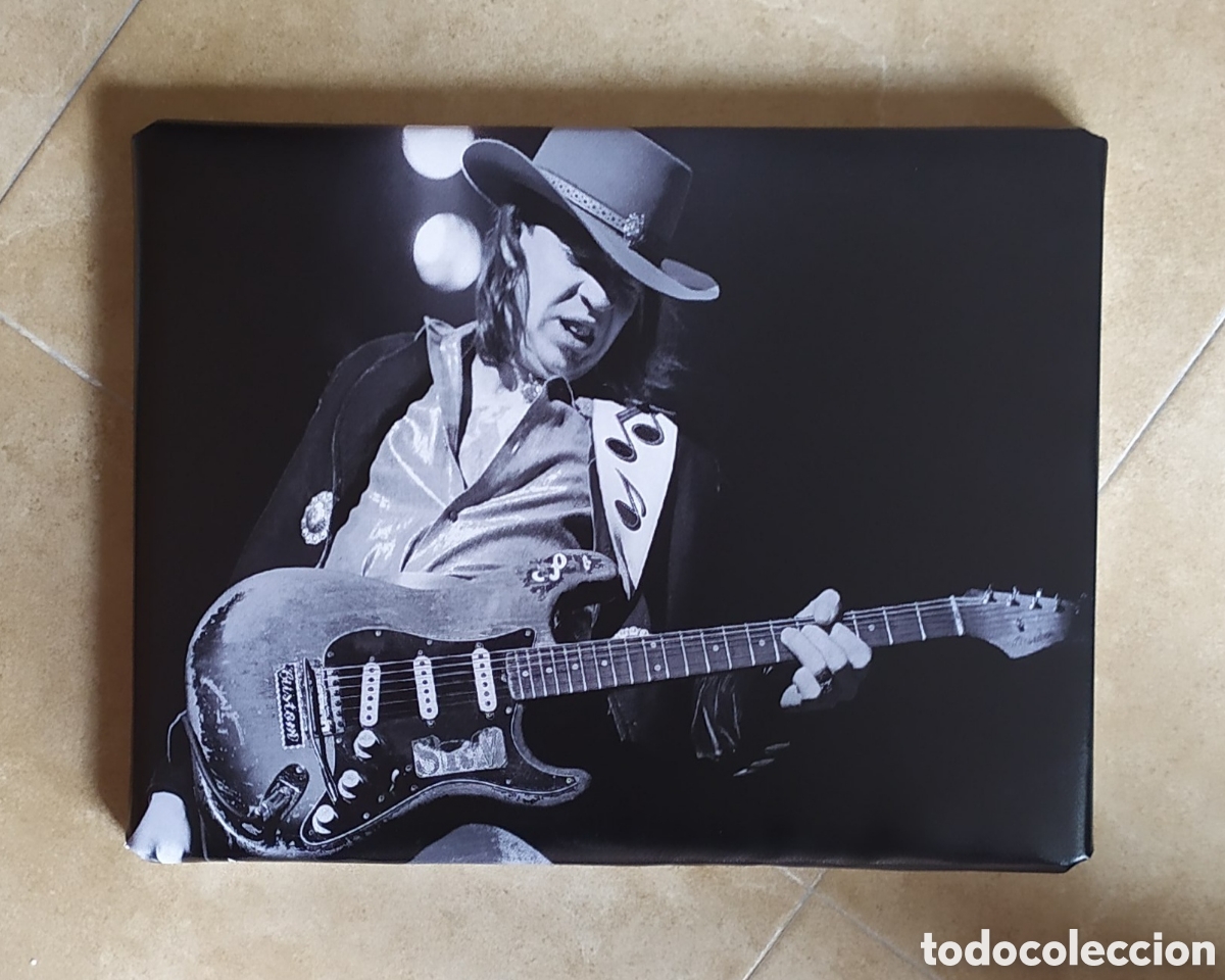 Photos de Chanteurs et Chanteuses: Cuadro STEVE RAY VAUGHAN