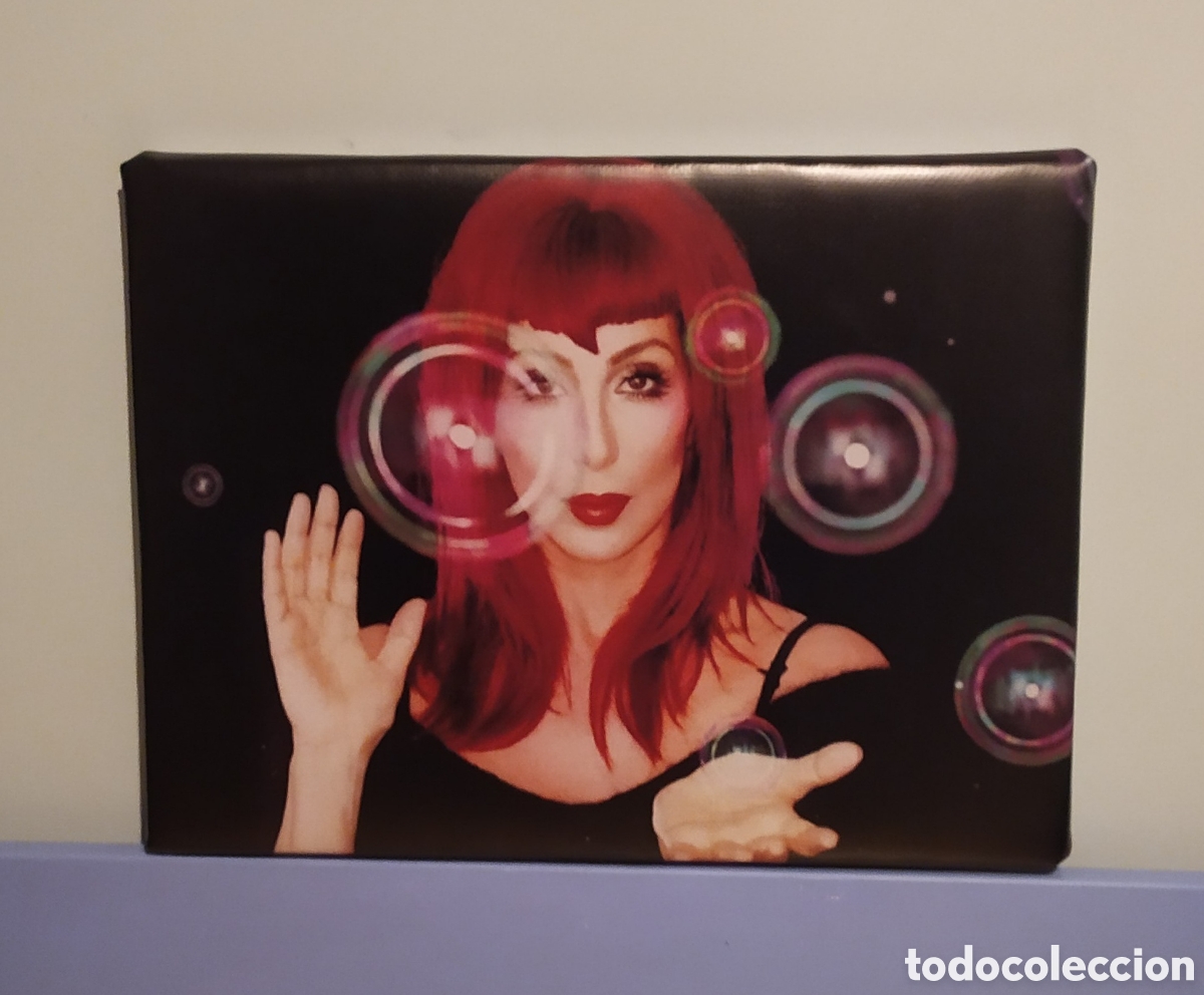 Photos de Chanteurs et Chanteuses: Cuadro cartel musical CHER