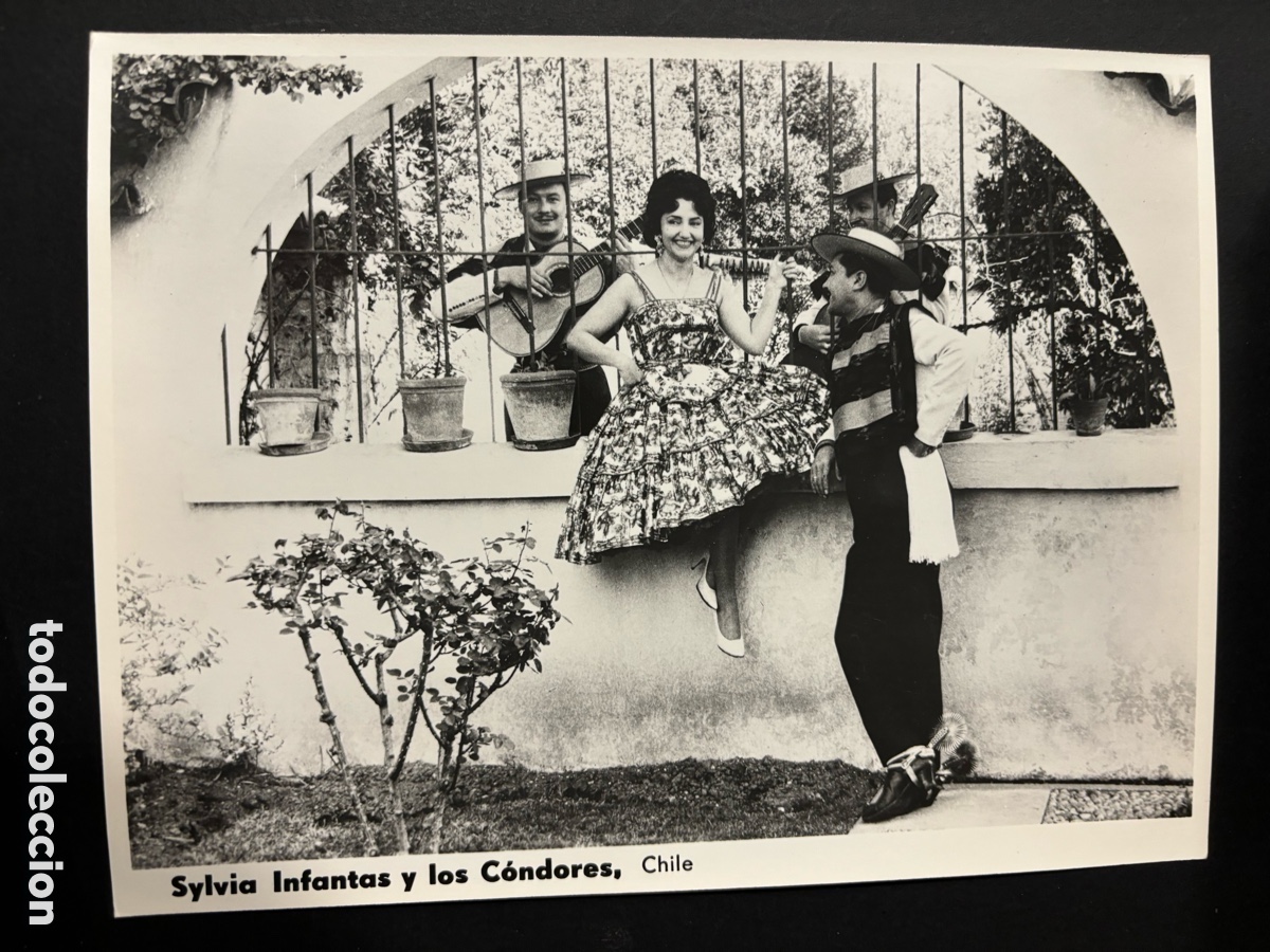 Fotos von Musikern: Foto original sylvia infantas y los c&oacute;ndores chile 18 x 23 cm