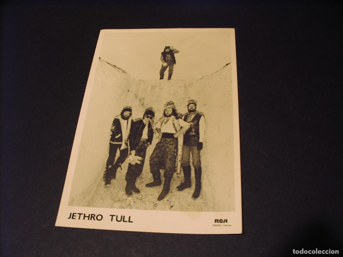 Fotos von Musikern: JETHRO TULL foto promocional RCA 18x12 GIRA TOUR