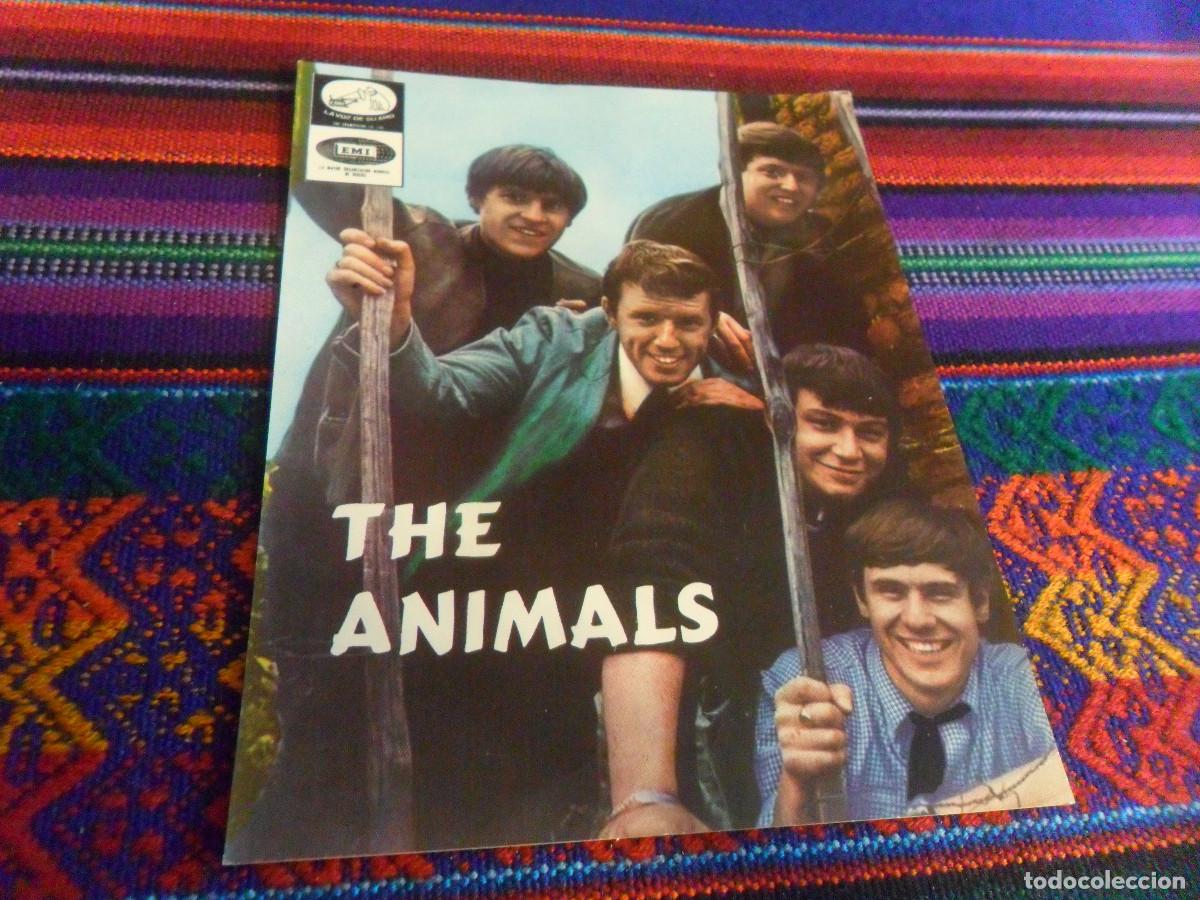 Fotos von Musikern: FOTO PROMOCIONAL THE ANIMALS EN SUS GRANDES CREACIONES. EMI 1965. 14,5X11,5 CMS. RARA.