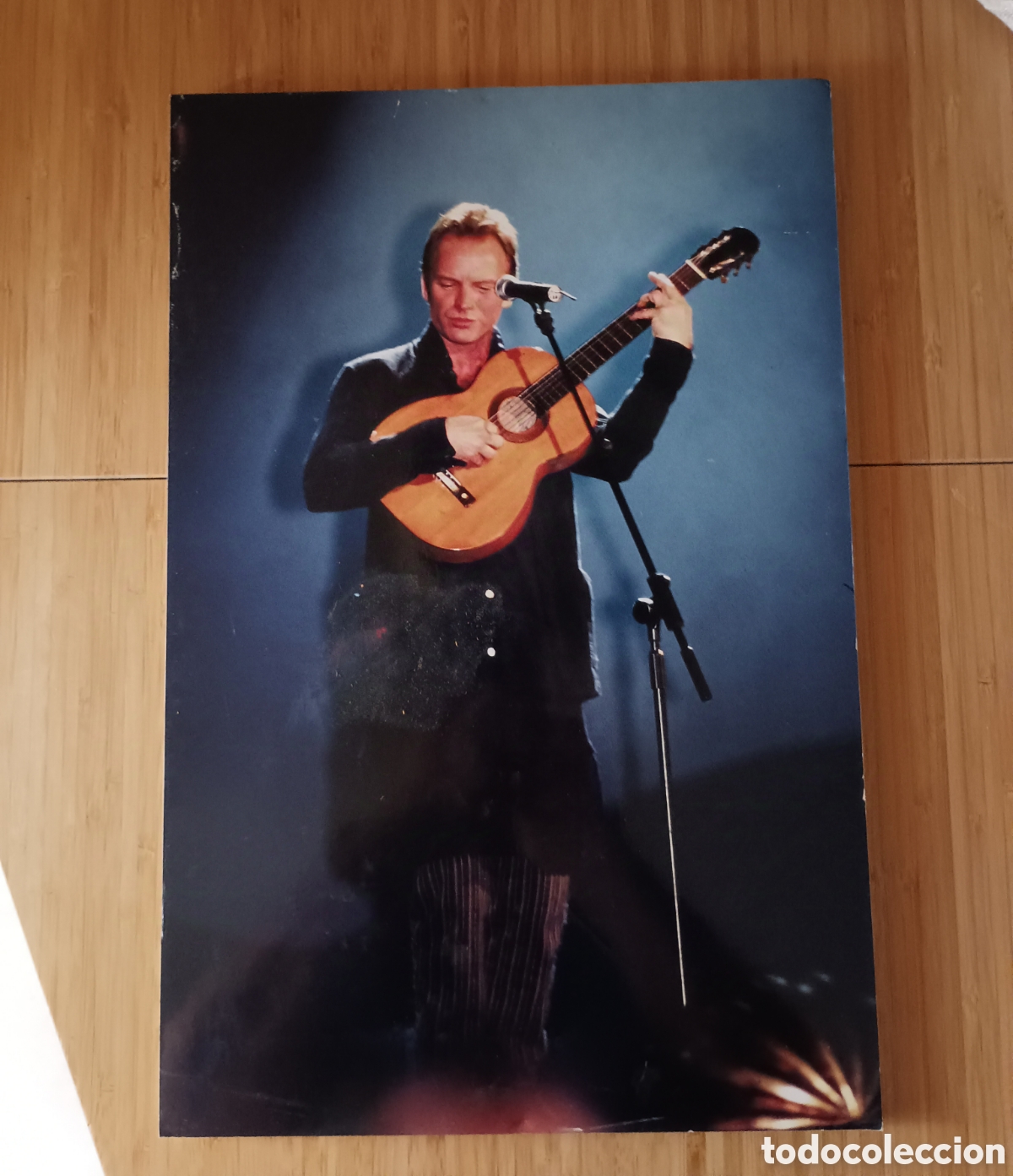 Photos of Singers: STING. FOTO ORIGINAL 45,5x30cm. Sobre cart&oacute;n pluma. A&ntilde;os 80