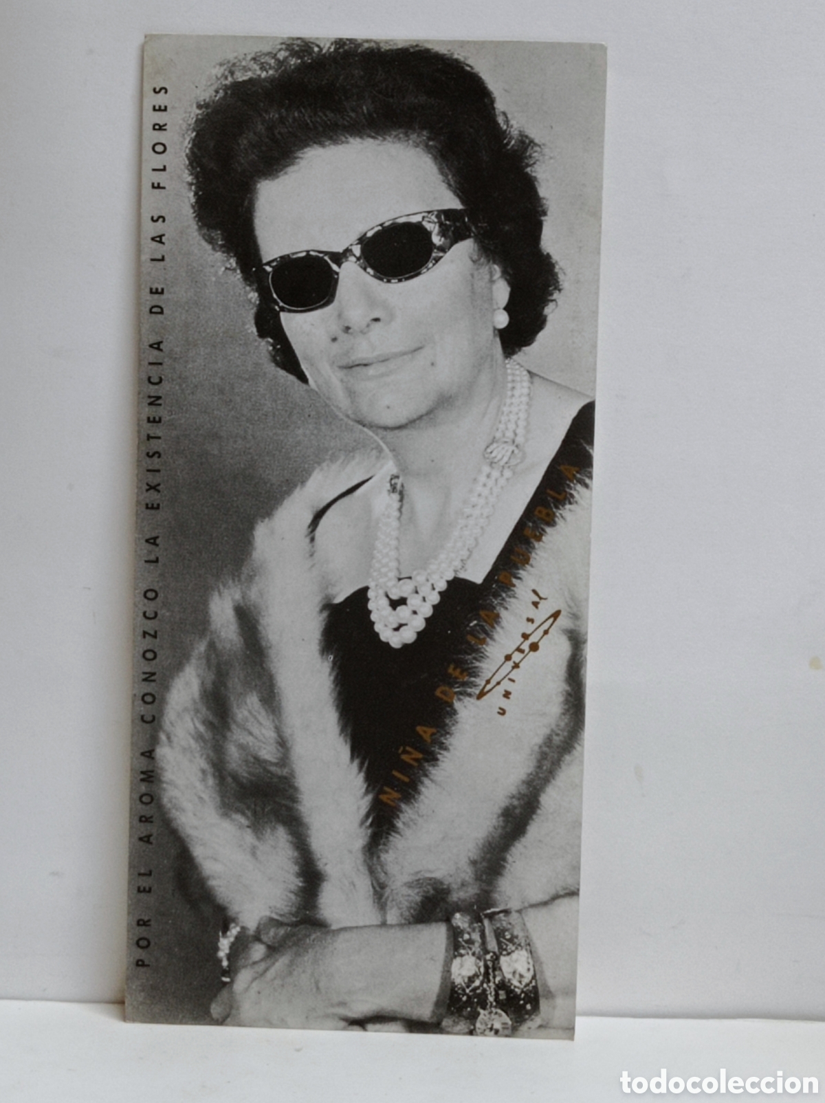 Fotos de Cantantes: NI&Ntilde;A DE LA PUEBLA, SALA UNIVERSAL BARCELONA 1987 - POSTAL CIRCULADA-