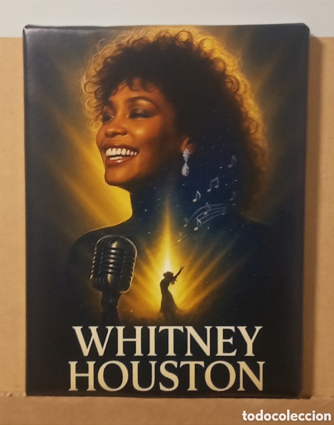 Fotos de Cantantes: Cuadro WHITNEY HOUSTON