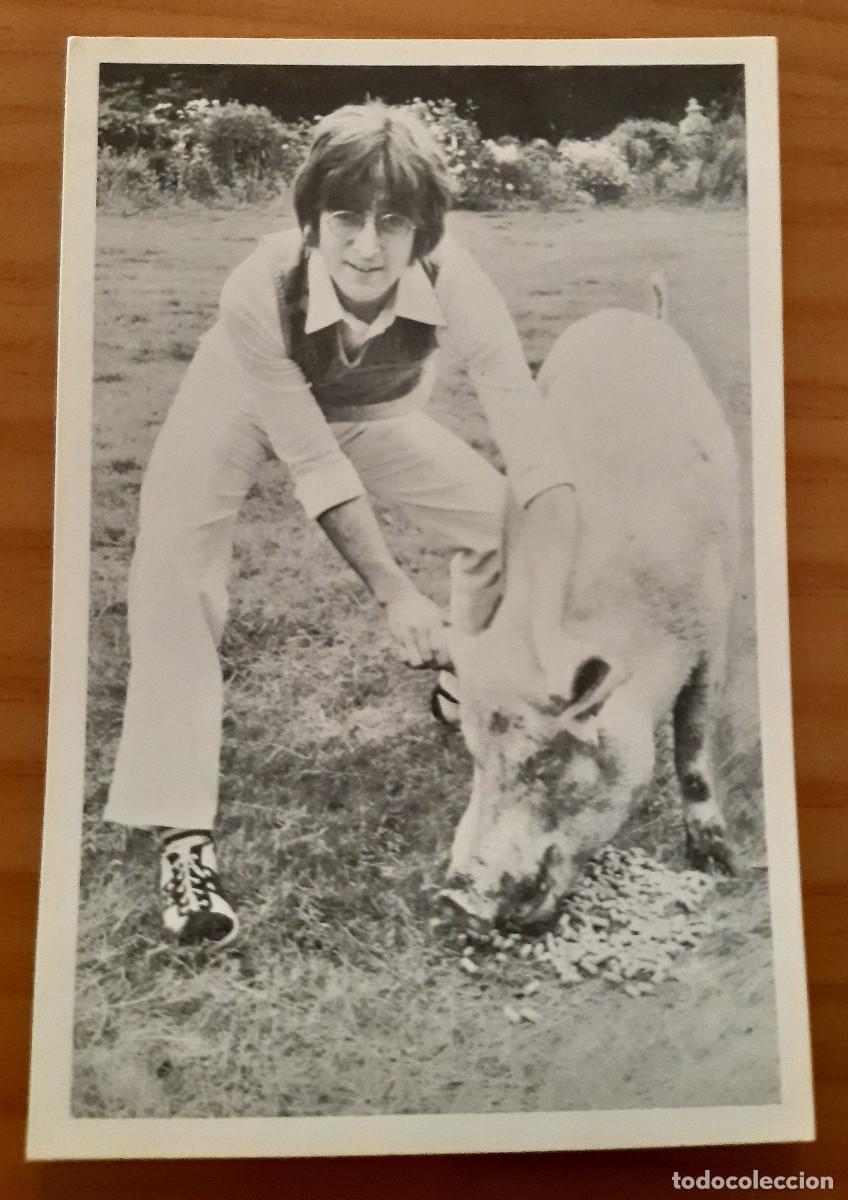 Fotos de Cantores: REPRODUCCI&Oacute;N FOTOGRAF&Iacute;A DE JOHN LENON CON UN CERDO - PERFECTO ESTADO