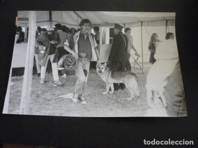 Foto di Cantanti: ISLA DE WIGHT INGLATERRA FESTIVAL MUSICA POP ANTIGUA FOTOGRAFIA 19 X 30 CM