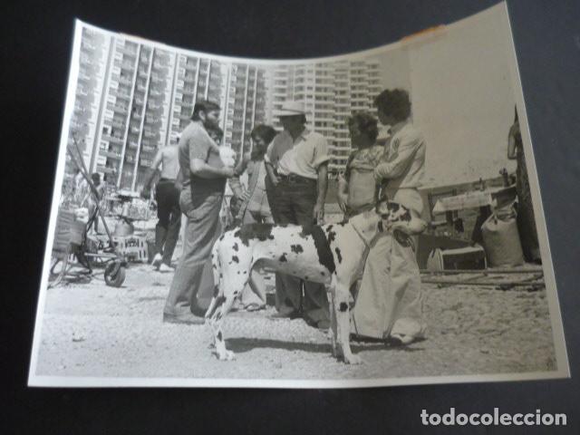 Photos of Singers: LOS CHARLOTS CONJUNTO MUSICAL CANTANTES ANTIGUA FOTOGRAFIA 18 X 24 CM