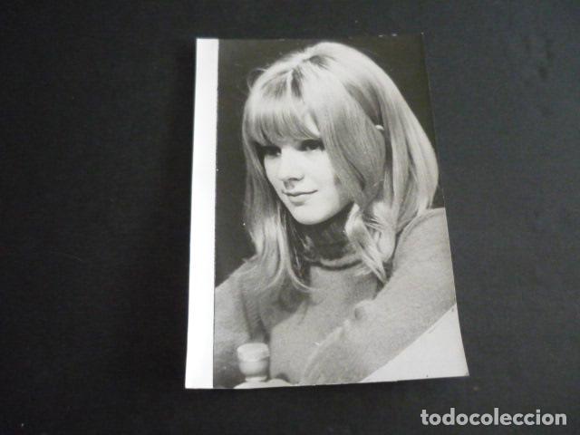 Photos of Singers: SYLVIE VARTAN CANTANTE ANTIGUA FOTOGRAFIA 12 X 18 CM
