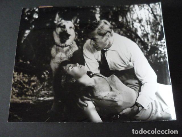 Fotos de Cantores: ROSA MORENA CANTANTE ANTIGUA FOTOGRAFIA 18 X 24 CM