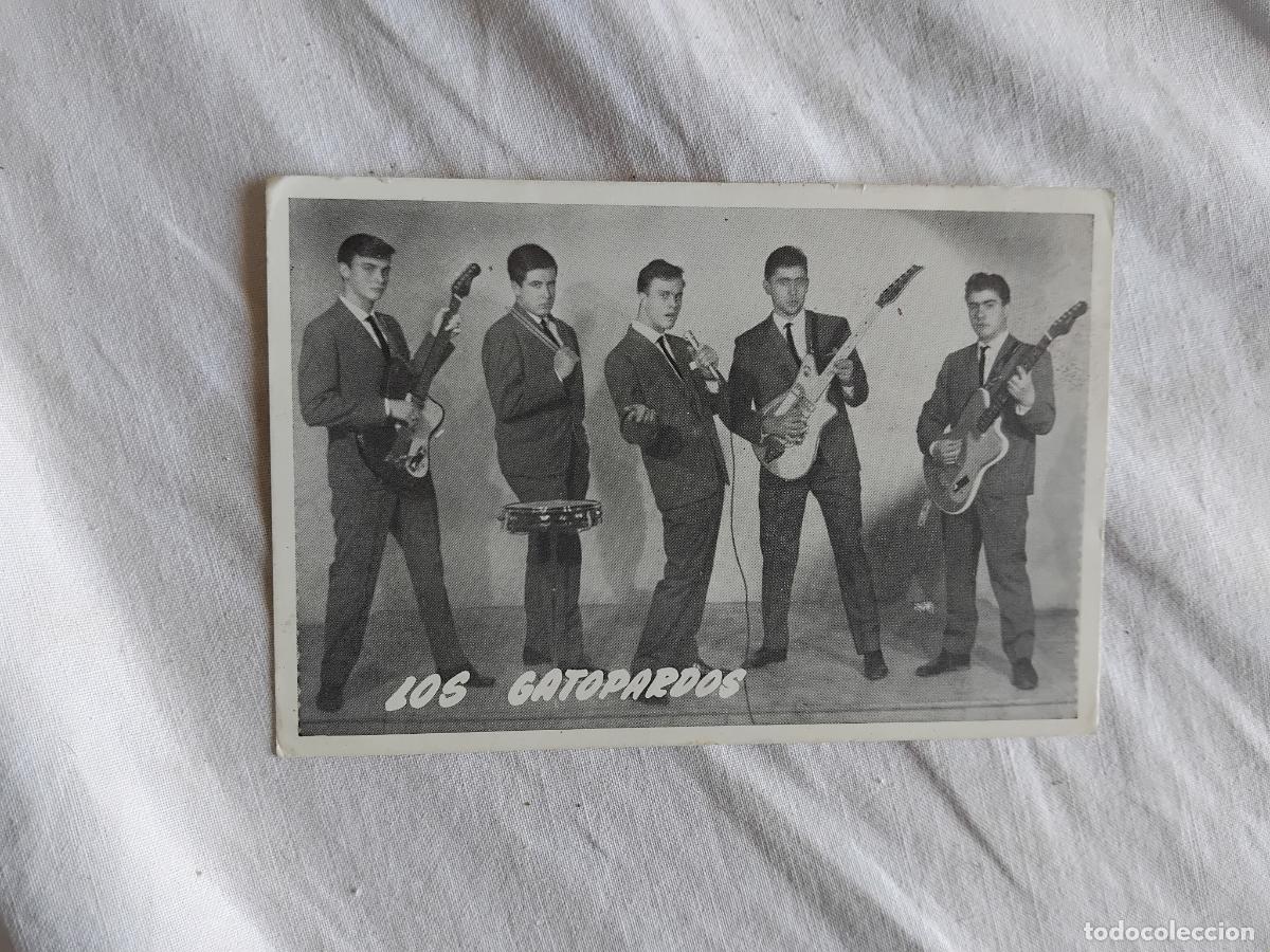 Fotos de Cantantes: LOS GATOPARDOS. FOTO PUBLICITARIA DEL GRUPO.