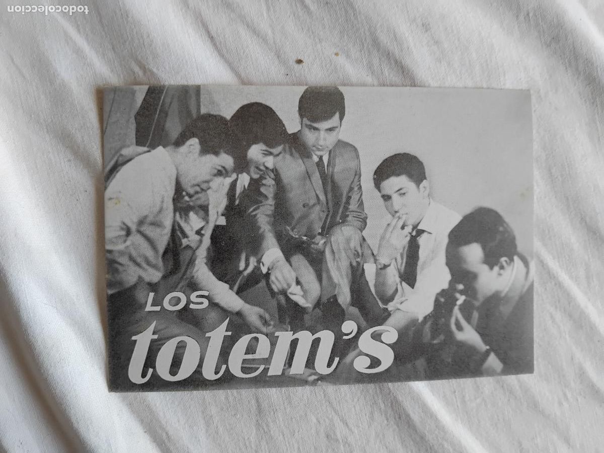 Fotos de Cantantes: LOS TOTEM'S. FOTO PUBLICITARIA DEL GRUPO DE PAMPLONA.