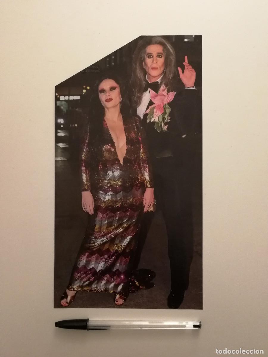 Fotos de Cantantes: LAMINA ACARTONADA - Mario Vaquerizo - MUSICA GLAM ROCK - ALASKA