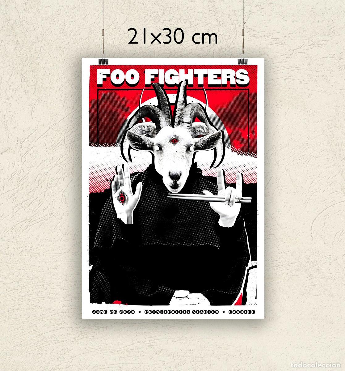 Fotos de Cantantes: Reproducci&oacute;n P&oacute;ster Foo Fighters - Cardiff - Tama&ntilde;o 21x30 cm