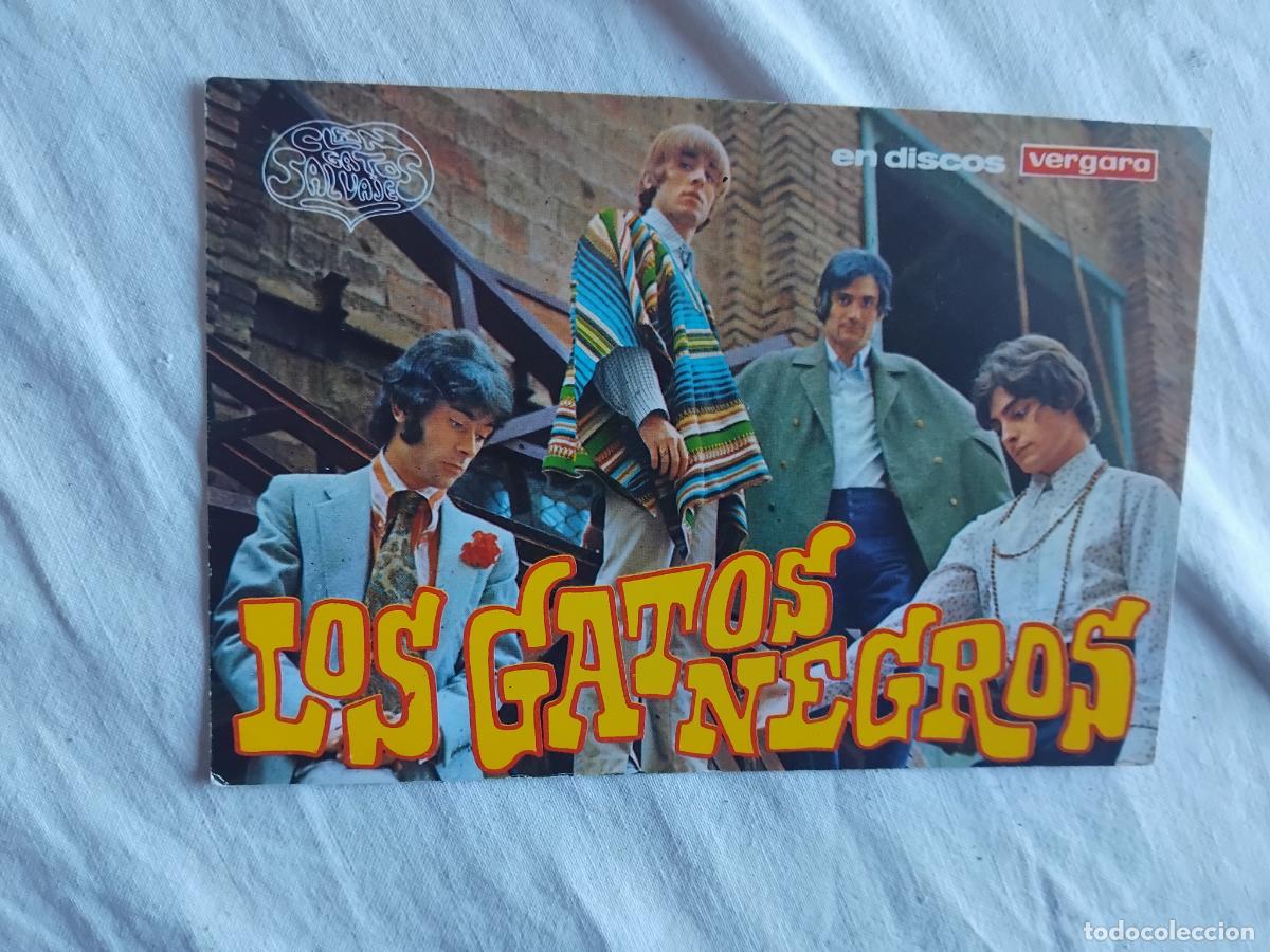 Fotos de Cantantes: LOS GATOS NEGROS FOTO PUBLICITARIA DISCOS VERGARA.